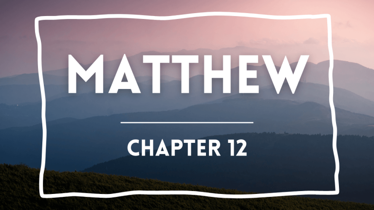 Matthew 12 – Sunday Oct 20, 2024